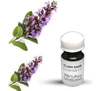Clary Sage Essential Oil / 100% Pure Clary Sage Undiluted Essential Oil Premium Quality (10 ML, NATURAL)