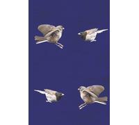 Clash of Wings - A Journal of Fierce Focus: Hardcover 5.5x8.5” narrow-ruled notebook with 80 numbered pages and 2 index sheets - striking design for bold ideas