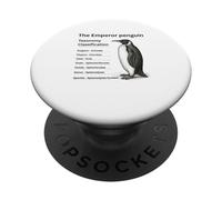 Clasificación de taxonomía del pingüino Emperador PopSockets PopGrip Adhesivo