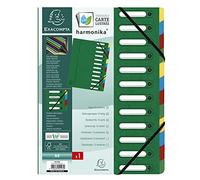 Clasificador Harmonika con fuelle de 12 posiciones. color verde