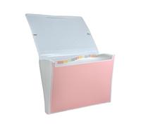 Clasificadora 12 Divisiones con Cierre de Gomas NORTH GLACE- REF 51120- incluye adhesivos para las pestañas by Office Box. (Rosa)