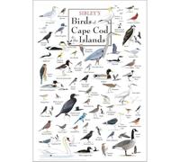 Classic Birds of Cape Cod and Islands Vintage Poster, Educational Bird Wall Art for Classroom, Kids Room Decor, Bird Watching Gift(Unframed,08x12inch(20x30cm))