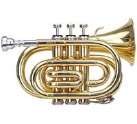 Classic Cantabile Brass TT-400 Trompeta de Bolsillo en Si bemol, latón, campana 93 mm, interior 11,8 mm, afinación Si bemol. Incluye estuche, boquilla, paño y guantes. Barniz transparente.