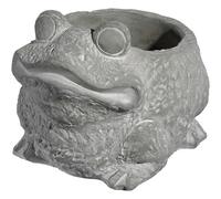 Classic Home and Garden 9/3462/1 Cement Buddies - Macetero (tamaño Grande), diseño de Rana