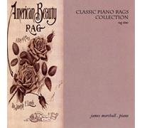 Classic Piano Rags Collection