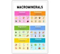 Classroom Health Poster Vitamins and Minerals Food Nutrition Infographic Wall Art for Kitchen Elementary School Decor(Unframed,16x24inch(40x60cm))