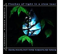 Claude Evence Janssens - Flashes of Light in a Slow Tear