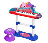 CLAUDIO REIG- Organo con Micro, PIE Y BANQUETA (2353)