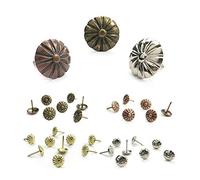 clavar clavos, 100 piezas de joyero latón, pasador empuje for sofá vino, herrajes for puerta, adecuado for la oficina escuela, hojas sierra cinta(Silver 100pcs)