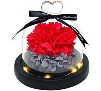 Clavel Eterno Flor preservada en cúpula de Cristal Regalo para el día de la Madre, cumpleaños, Aniversario, día de San Valentín (Color: Rojo) (Rojo)