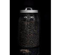 Clavo en grano a granel - 100