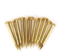 Clavos de Latón Dorados, 100 Piezas Clavo de Cabeza Redonda Muebles de Latón Cabeza Grande Accesorios de 20 Mm 10 Mm / 15 Mm / 18 Mm / 22 Mm 15 Mm Longitud den Clavo Plano Redondo (22 mm de largo, en