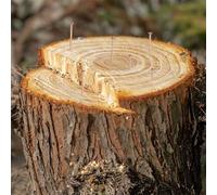Clavos de tocón de árbol de cobre de 3 pulgadas, material de cobre sólido para una eliminación eficaz de raíces, picos para matar tocones para uso en jardín y paisajismo