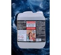 CleanPrince Dampfbadreiniger Líquido 5 Litro Dampfbad Producto de Limpieza Hamam Notas Líquidos Puros sin Ácido Desinfección Sin Alcohol Inodoro