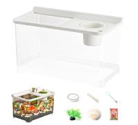 Clear Acrylic Aquarium - Small Fish Tank for Home Decoration, Office Relaxation with 360° Viewing, Compact Fish for Bedroom Living Room, Easy Setup Use,8 pulgadas 3 Color LED Lights