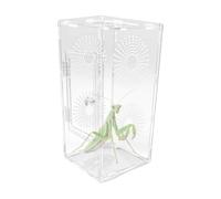 Clear Acrylic Small Reptile Enclosure Habitat Includes Mantises Feeding