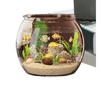 Clear Beta Fish Tank, Small Aquarium Container, 6.69x5.12in Compact Fish Display, Elegant Home Decoration, Sturdy Glass Design for Ornamental, Tabletop, Desktop Use