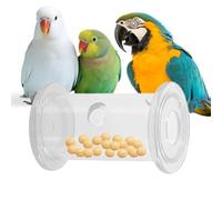 Clear Feeders Toy, Foraging Supply, Gadget Stylish Look, Pet Tool with Strong Hold, Animal Accessory with Portable Design, Feeder Accessories for Breeders Hobbyists Beginners Aquarists Office Outdoor