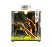 Clear Glass Reptile Container - Acrylic Growth Enclosure, Lightweight Small Animal Breeding Box | Habitat For Turtles Beetles Snails Lizards, Transparent Terrarium For Reptile Observation and Care