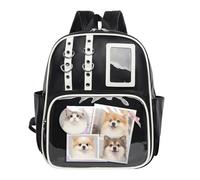 Clear Ita Bag, Pin Display Purse, Portable Badge Holder, Transparent Window Organizer For Cute & Enamel Pins, PVC Panel PU Shoulder Bag For Travel School Concerts Comic con