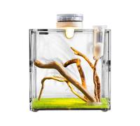 Clear Reptile Cage, Jumping Spider Growth Enclosure, Small Animal Breeding Box, Lightweight Design, Easy Maintenance, (Size/Color), Ideal for Turtles, Beetles, Lizards, Snails