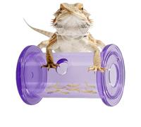 Clear Reptile Food Bowl, Cylinder Slow Feeder Cylinder, 2,36 x 1,54 x 1,54 pulgadas, dispensador de rolling traat, alimentador transparente con estilo interactivo, herramienta de enriquecimiento para