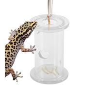 Clear Reptile Food Bowl, Cylinder Slow Feeder Cylinder, 2,36 x 1,54 x 1,54 pulgadas, dispensador de rolling traat, alimentador transparente con estilo interactivo, herramienta de enriquecimiento para