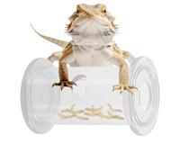 Clear Reptile Food Bowl, Slow Feeder Rolling Cylinder, Anti Scatter Foraging Dish with Smooth Rotation Design, Enrichment Feeding Tool for Small Pets, Reptile Bowl for Terrarium Use