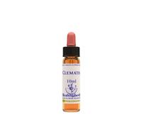 Clematis Ess 10 ml Hierbas Inglesas
