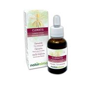 Clematis o Clemátide (Clematis vitalba) Flores emocionales o Flores de Bach Naturalma - Gotas 30 ml - Extracto líquido sin alcohol - Esencias florales - Vegano