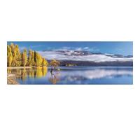 Clementoni: Colección de Alta Calidad: Puzzle panorámico Árbol dorado de Wanaka - 1000 piezas.