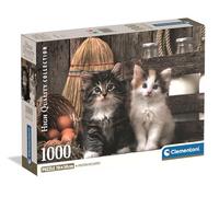 Clementoni - Puzzle Adulto 1000 Piezas Collection Lovely Kittens Compact Box, 39943