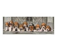 Clementoni: Rompecabezas panorámico de perros Beagle - 1000 piezas