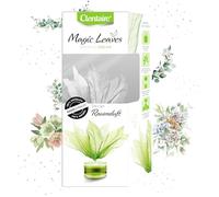 CLENTAIRE Emerald Dream 15 x 50 ml, aroma natural, de larga duración, para el hogar, ambientador premium con flores hechas a mano para las habitaciones