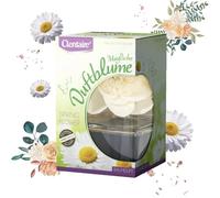 CLENTAIRE Flores aromáticas 15 x 75 ml Spring Flower - Aroma sensual ambientador, difusor - Flor de papel hecha a mano en yuca para decoración de habitaciones
