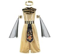 Cleopatra Costume, Fancy Egyptian Costume Kids with Accessories for Cosplay Party, Halloween, Christmas, Festival Celebrations, Large