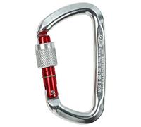 Climbing Technology D-Shape SG - Mosquetón en Forma de D con Anilla, Color Plateado