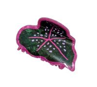 Clip De De Hojas De Gran Tamaño Contemporáneo Accesorio Acrílico Sujeción Segura Diseño De Inspiración Francesa Para Mujeres Niñas Clip De Gran Tamaño De Para Mujeres