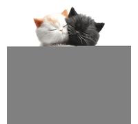 Clip Difusor Aromático para Rejilla de Aire Acondicionado del Coche - Difusor de Perfume Acrílico en Relieve | Decoración Decorativa De Gato Eliminadora De Olores Para Viajes En Furgoneta Desplazamien