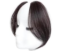 Clip in Bangs, 2 piezas Bangs Bangs en el cabello humano Clip en Bangs for Women Behips Bewled Clip en Extensiones de cabello Clip falso en Bangs for Women, Dark Brown