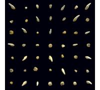 clipping. Visions of Bodies Being Burned (Vinyl) 12" Album