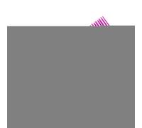 Clips de cabello para seccionar, clips de agarre para la seccionamiento del cabello - Pins de peinado de profesional | Accesorios para cortar, peine de separación de, herramien