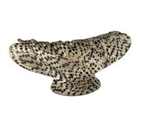 Clips de garra de acetato - Hoja de acetato, clips de garra de cabello | CLUCK DE CLAMP CLAMP CLUCK CLUCHCER CLUCHCER de 4.1 pulgadas de tiburón de color caramelo | Elegante Capas de cabello sin desli