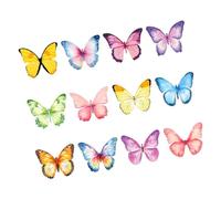 CLISPEED 12 piezas Notas Adhesivas Acuarela Memo Adhesivo Oficina Hogar Papelería