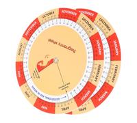 CLISPEED 2piezas Rueda De Embarazo Detallada y Gráfico De Desarrollo Fetal Herramienta De Seguimiento Papel Para Madres Expectantes Guía y Cronología De Embarazo