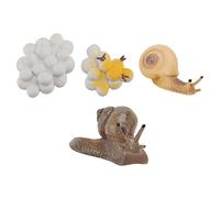 CLISPEED 4 Piezas Figuritas de Ciclo de de Caracol para Educativo Decoración para Escritorio y Habitaciones Infantiles Juguete Cognitivo Seguro y Práctico