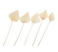 CLISPEED 5 Piezas de Hojas de Palma Seca Decorativas Blancas en Forma de Abanico, Accesorio de Fotografía y Adorno para Decoración del Hogar y Bodas, Arreglo Floral Natural para Mesas