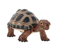 CLISPEED Figuras de Tortugas Realistas para Decoración y Educación Modelo de Tortuga Terrestre para Interactivo Seguro y Detallado para Colección y Aprendizaje