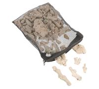 CLISPEED Filtro para Pecera de Coral Natural de Filtración Reutilizable Alta Permeabilidad Mejora la Calidad del Agua y Reduce la Mortalidad de Peces Incluye Bolsa para Acuarios y Estanques