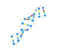 CLISPEED Molecular de Adn para Clases de Biología Kit Educativo de Genética y Bioquímica para Proyectos Escolares y Ferias de Ciencias
